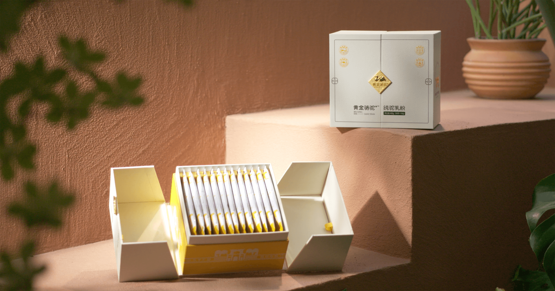 定位小众高端乳粉，太阳成集团tyc151cc推出驼奶品牌“黄金骆驼+”，角逐乳品新市场！